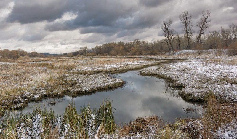 Vlad Sherman, Russia