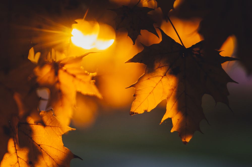 Осеннее настроение