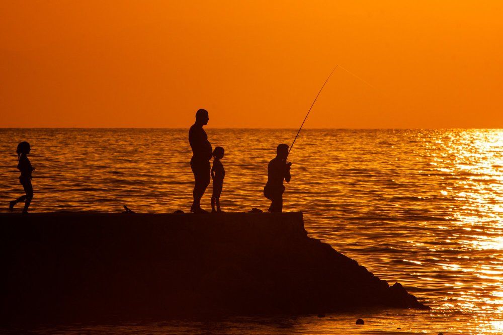Ловец солнца