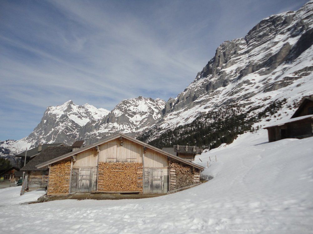 "Лучше гор могут быть только горы"