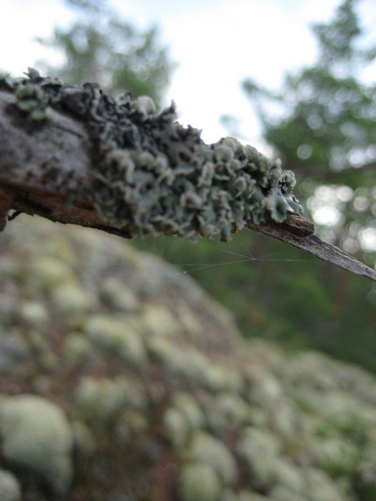 Photo #1208149