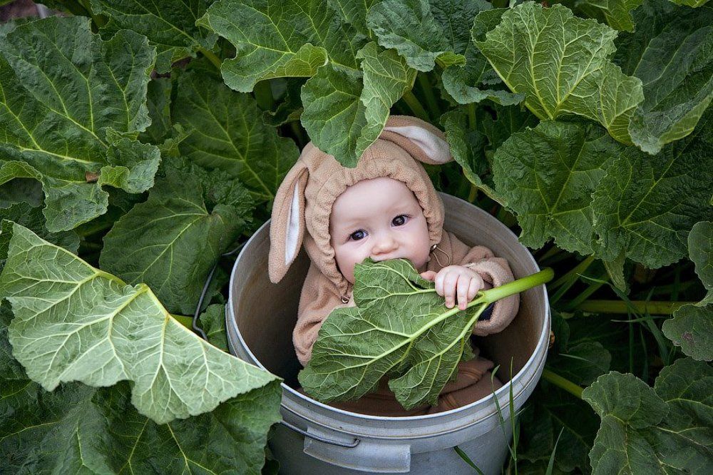 Меня нашли в капусте.