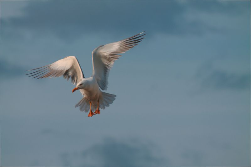 Мальцева Дарья, Russia