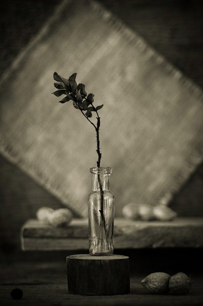 Одиночество