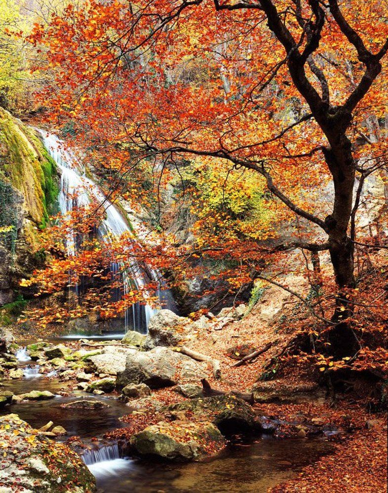 Джур-Джур в ноябре