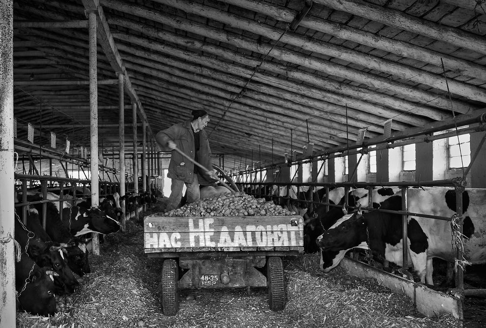 Нас не догонят!