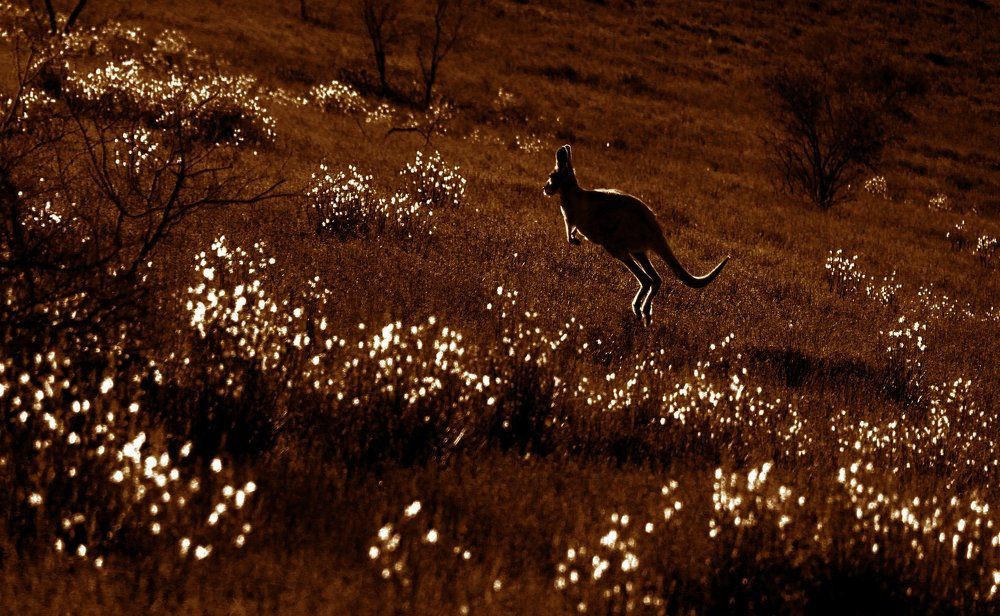 Навстречу Солнцу
