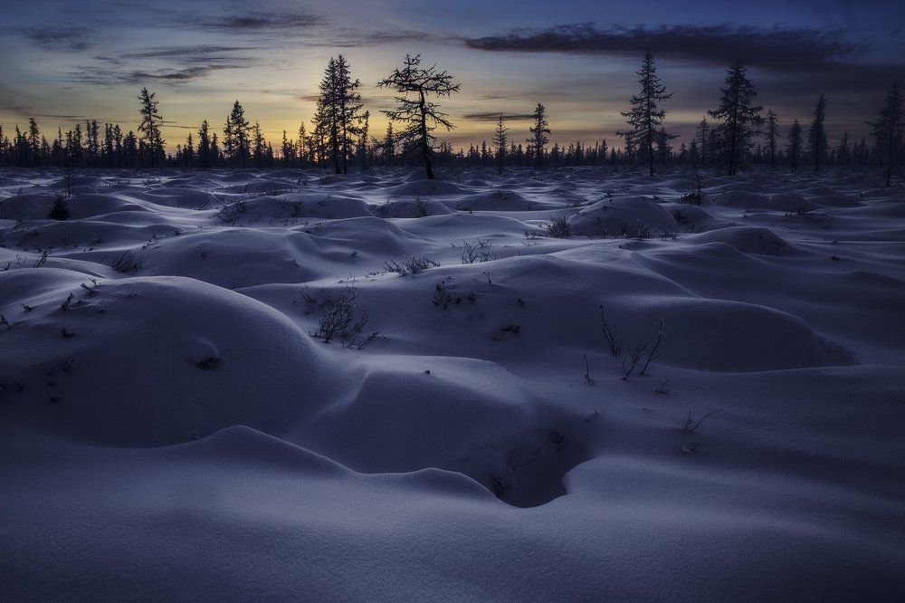 "Заполярное безмолвие"