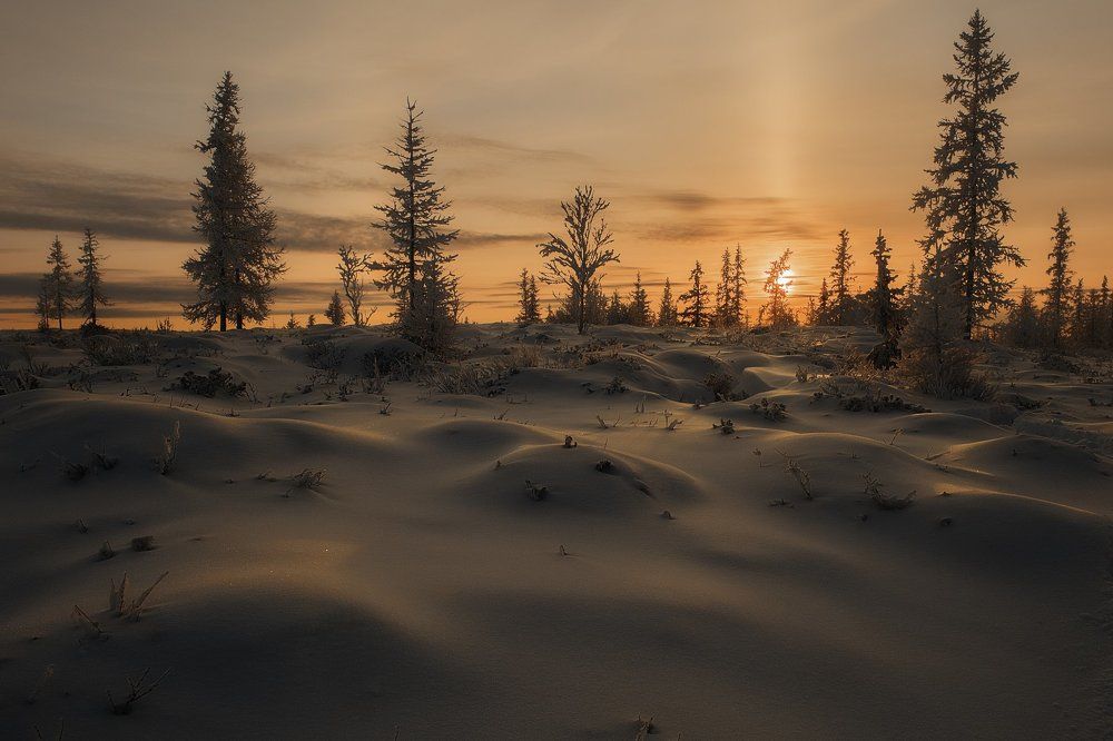 "Карамельный вечер"