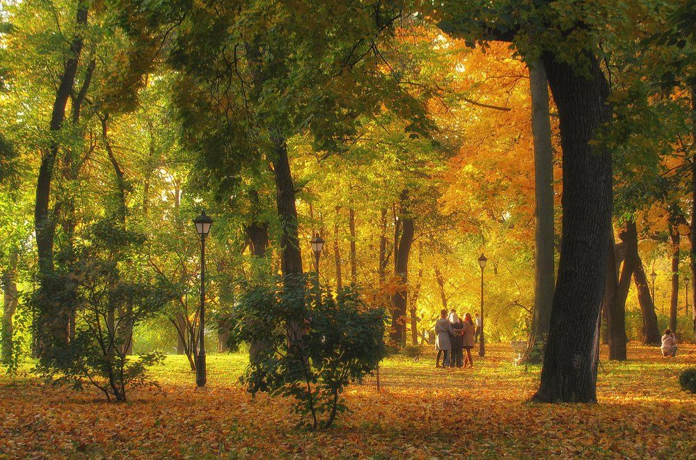 Осень в парке