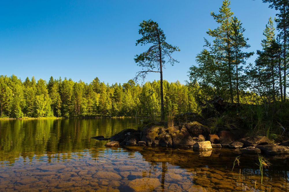 Прозрачность