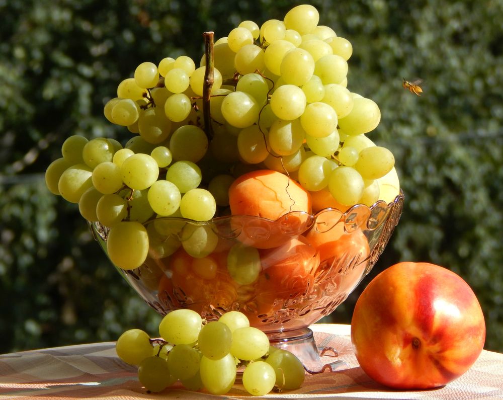 Летний натюрморт