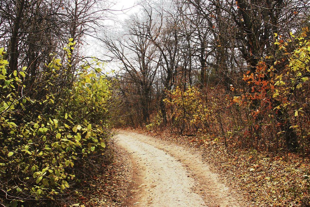 Золотая осень