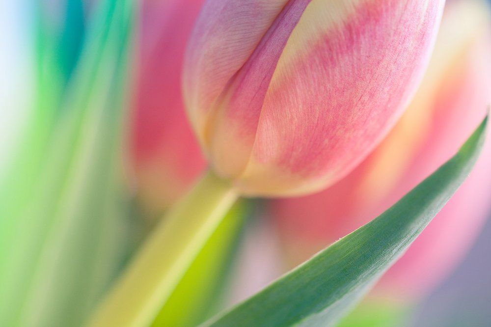 Отдохновение души.