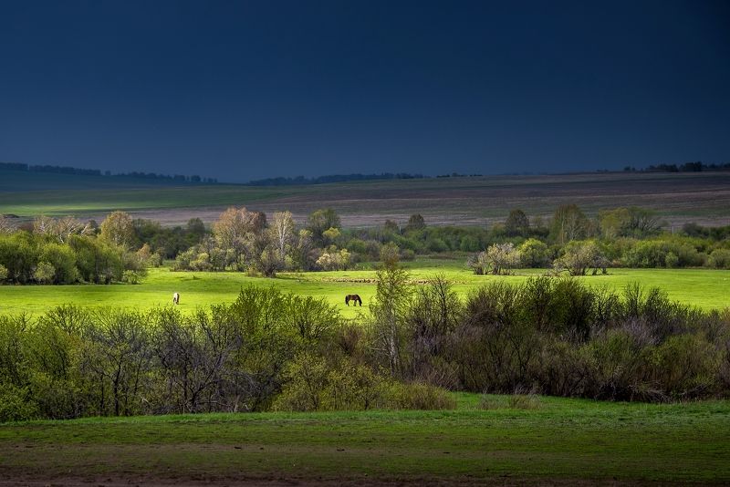 Евгений Бочкарев, Russia