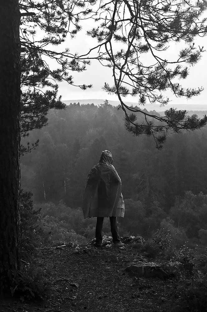 Созерцание