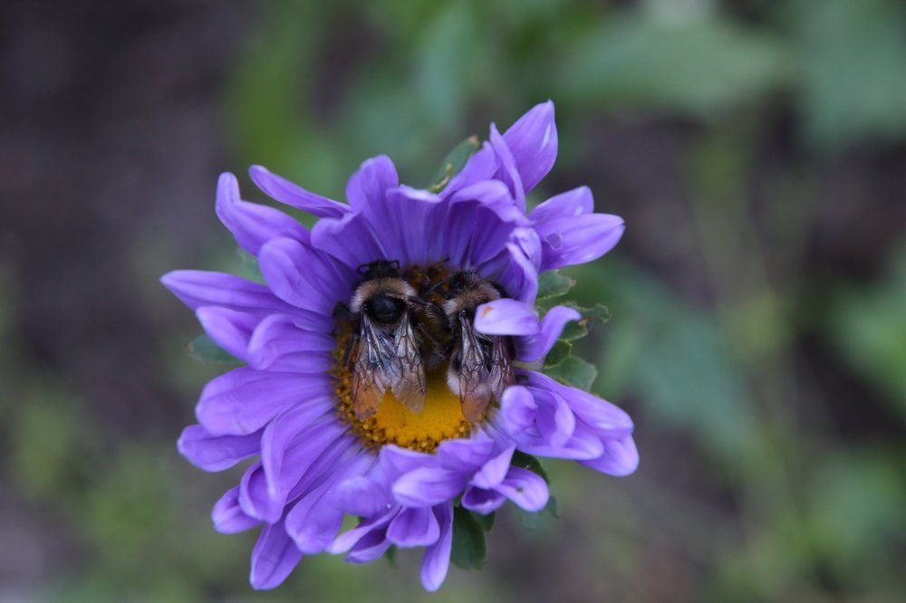 Приготовление на ночлег. Обними меня покрепче.