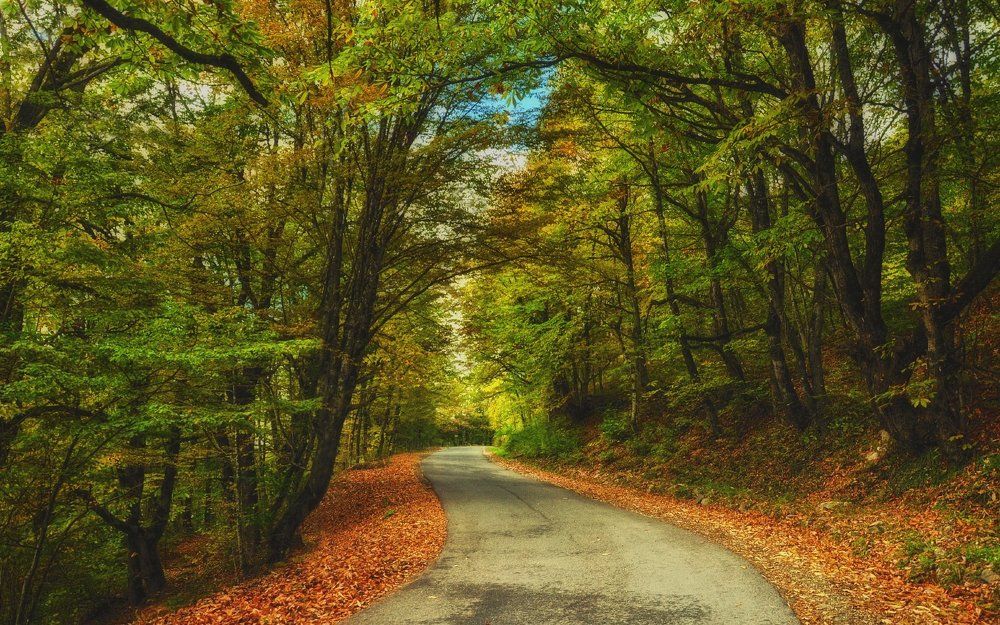 Осенними дорожками...