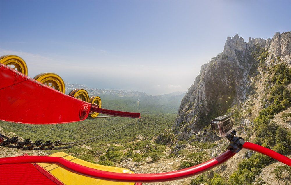 Опасный вид