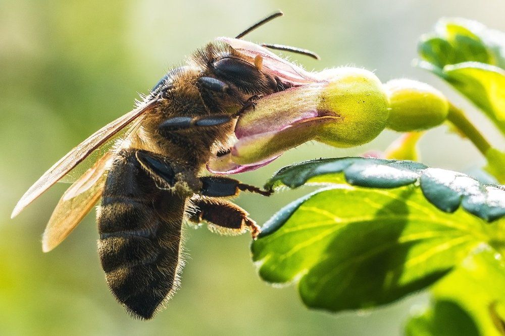 Photograph by Николай