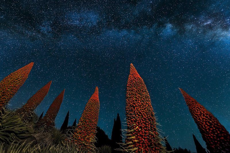 José Antonio Cabello, Spain