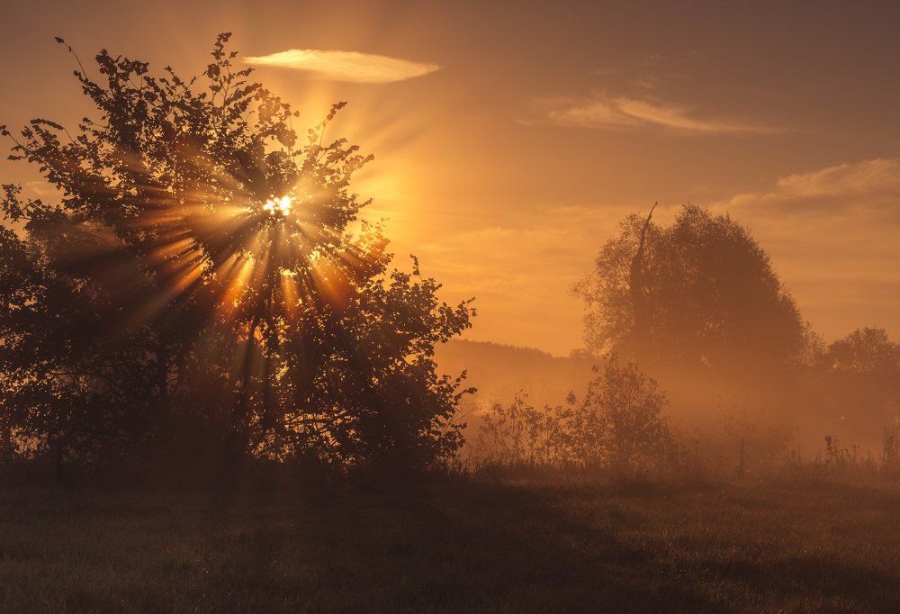 Однажды туманным утром...