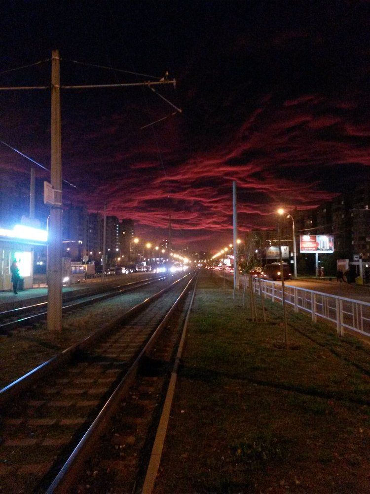 Асператус