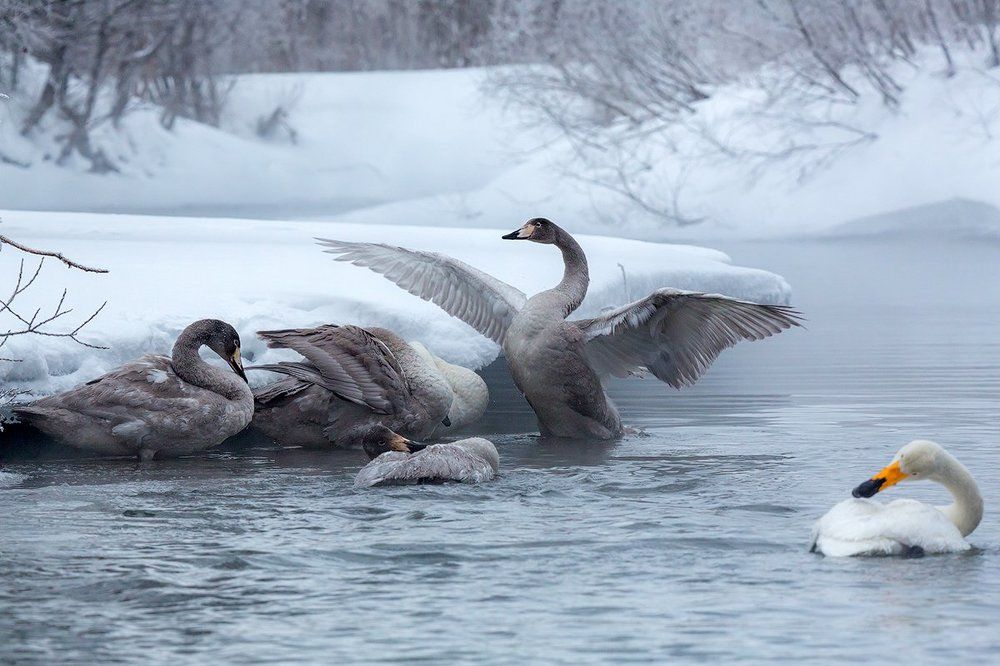 Вот такая...!!!