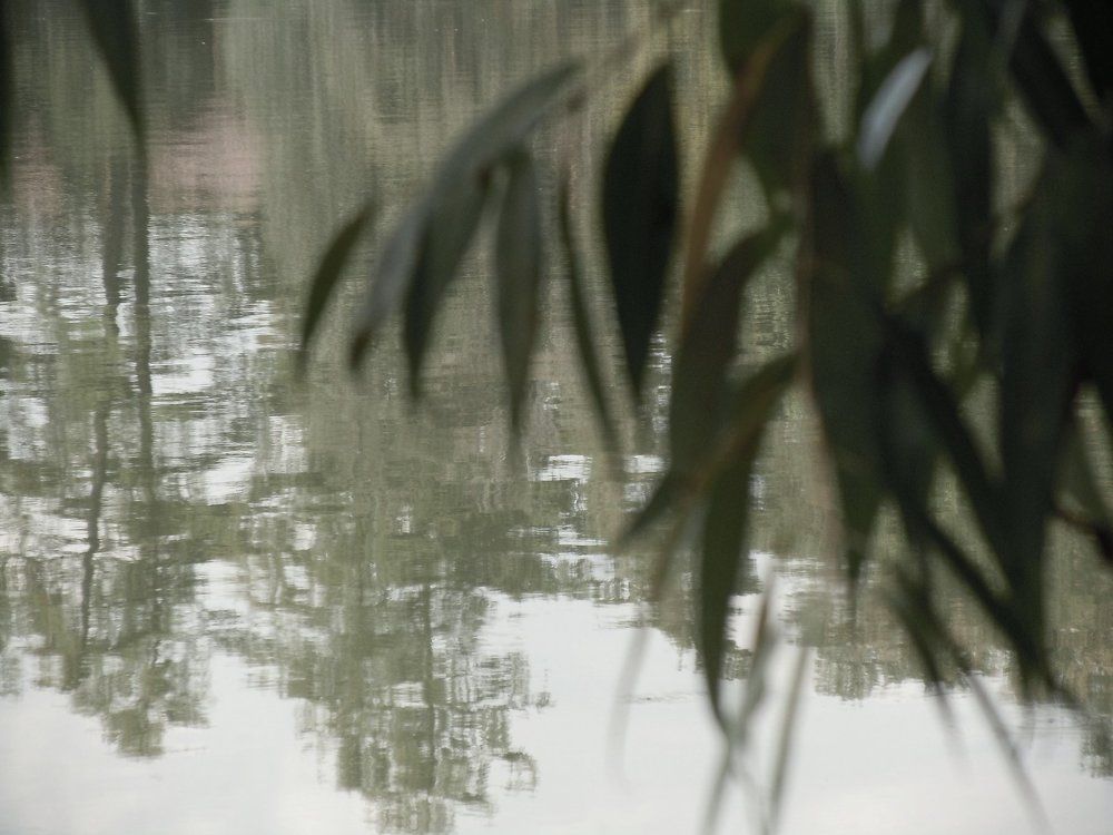 Вместе с хозяином дома Слушаю молча вечерний звон. Падают листья ивы. Басё.