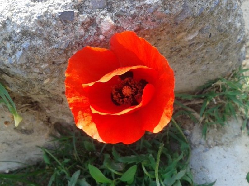 Albina Gabidullina, Turkey