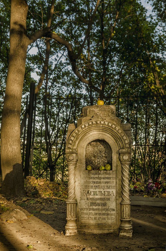 Яблоки раздора