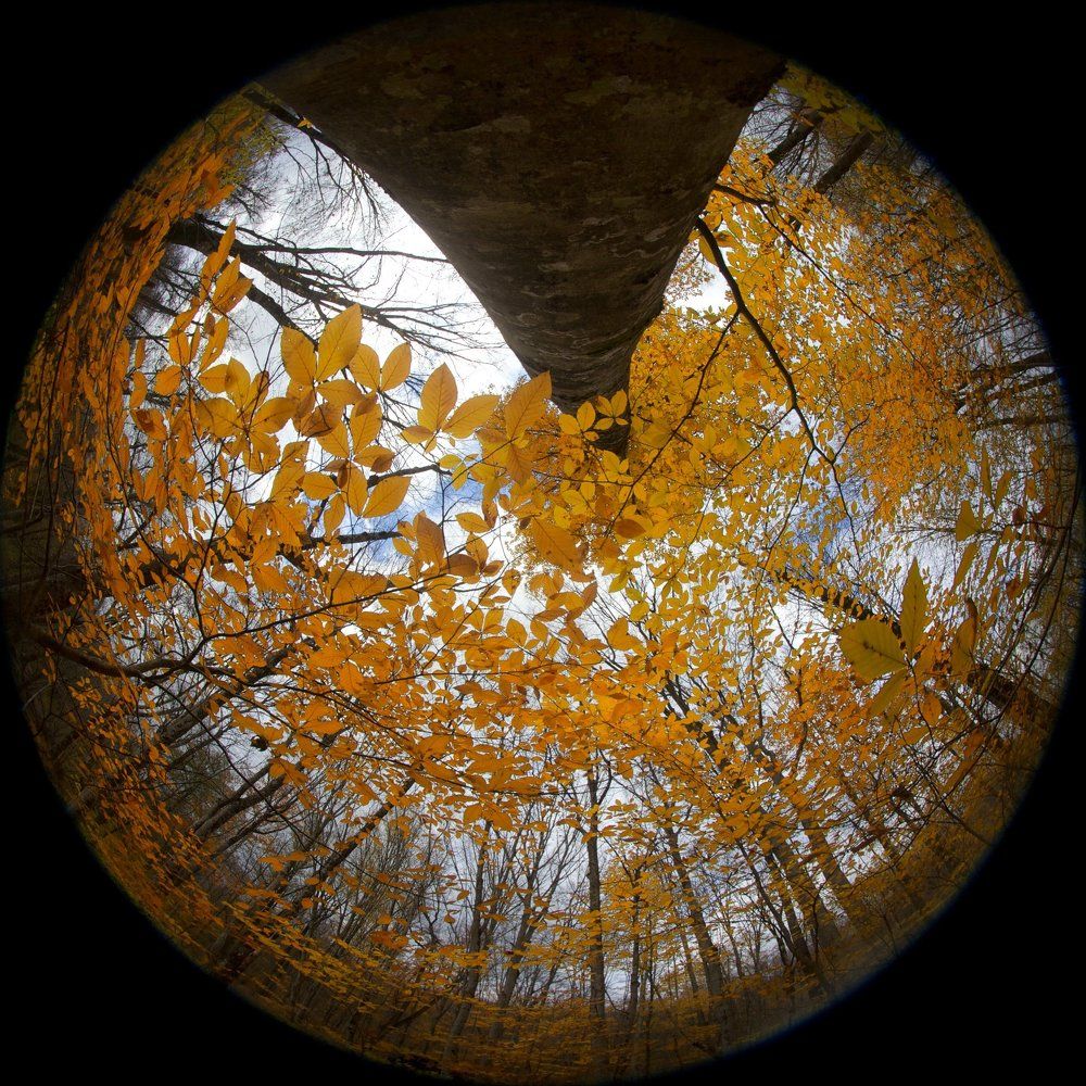 За пять минут до зимы