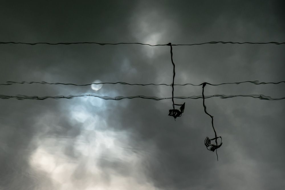 Ноты души моей...