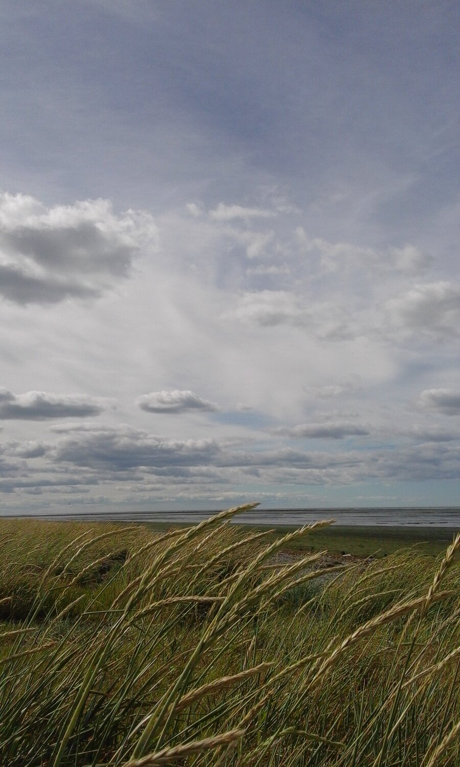 Shores of Rio Grande