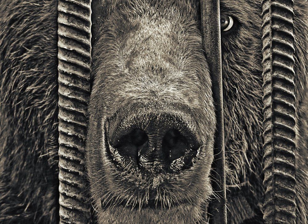 Photograph by Марина