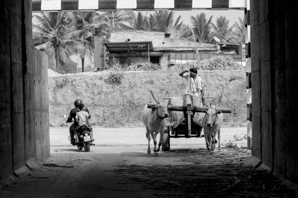 Traditional and Modern Transportation