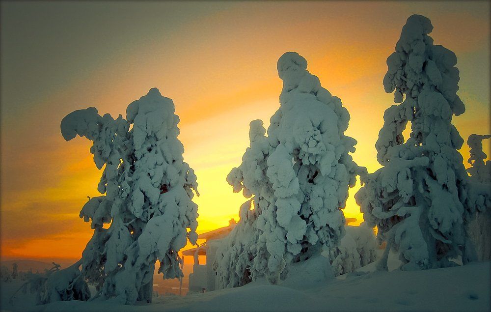 Три богатыря