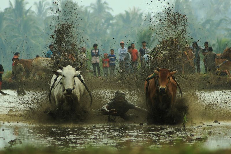 Hario Suhendra, Indonesia
