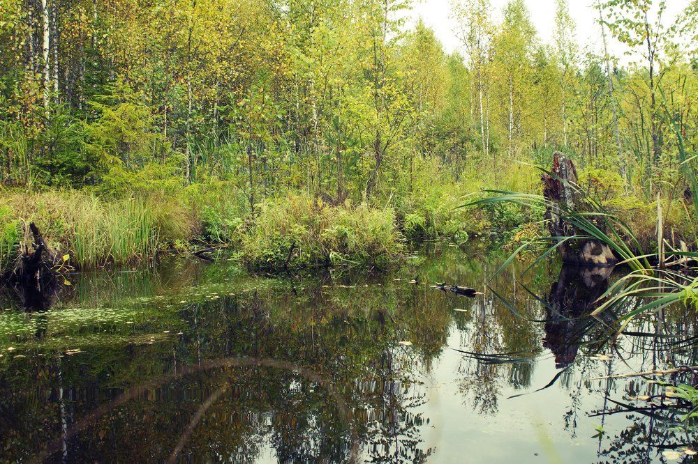 Photograph by виктор