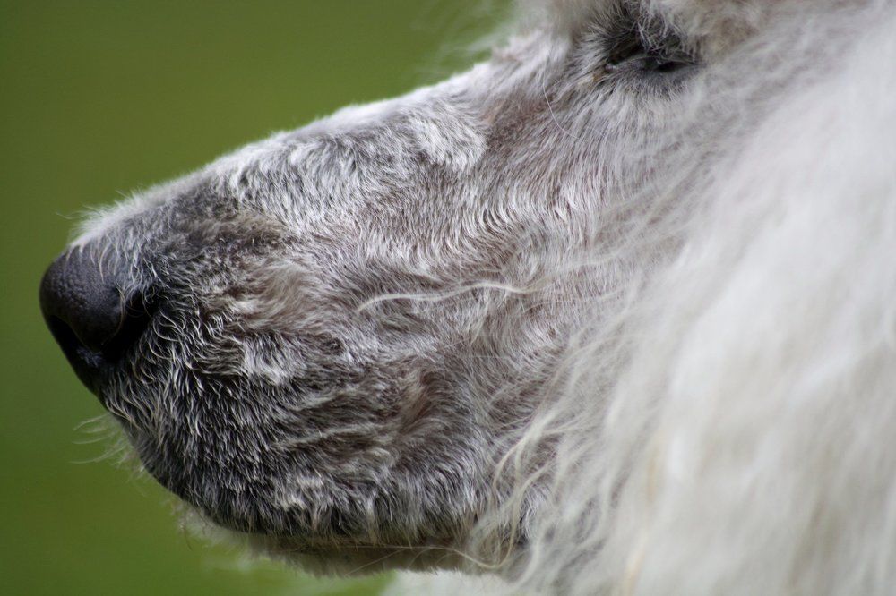 Photograph by Яков