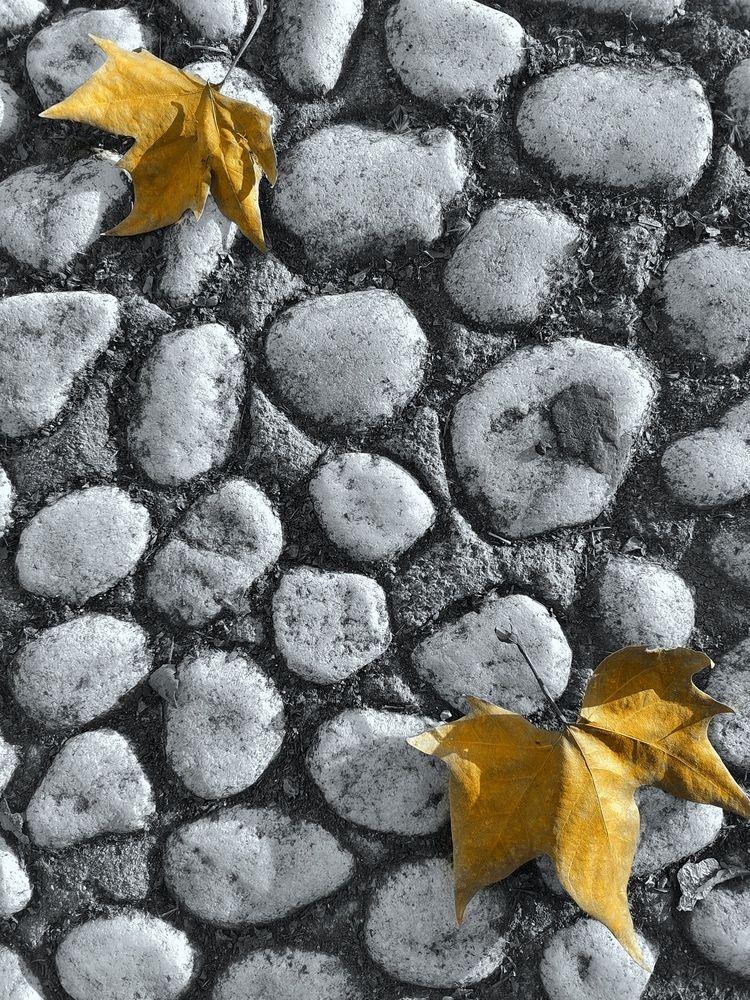 Photograph by Alexander Kramer