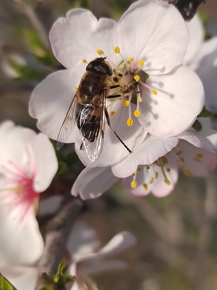 Photograph by Alexander Kramer