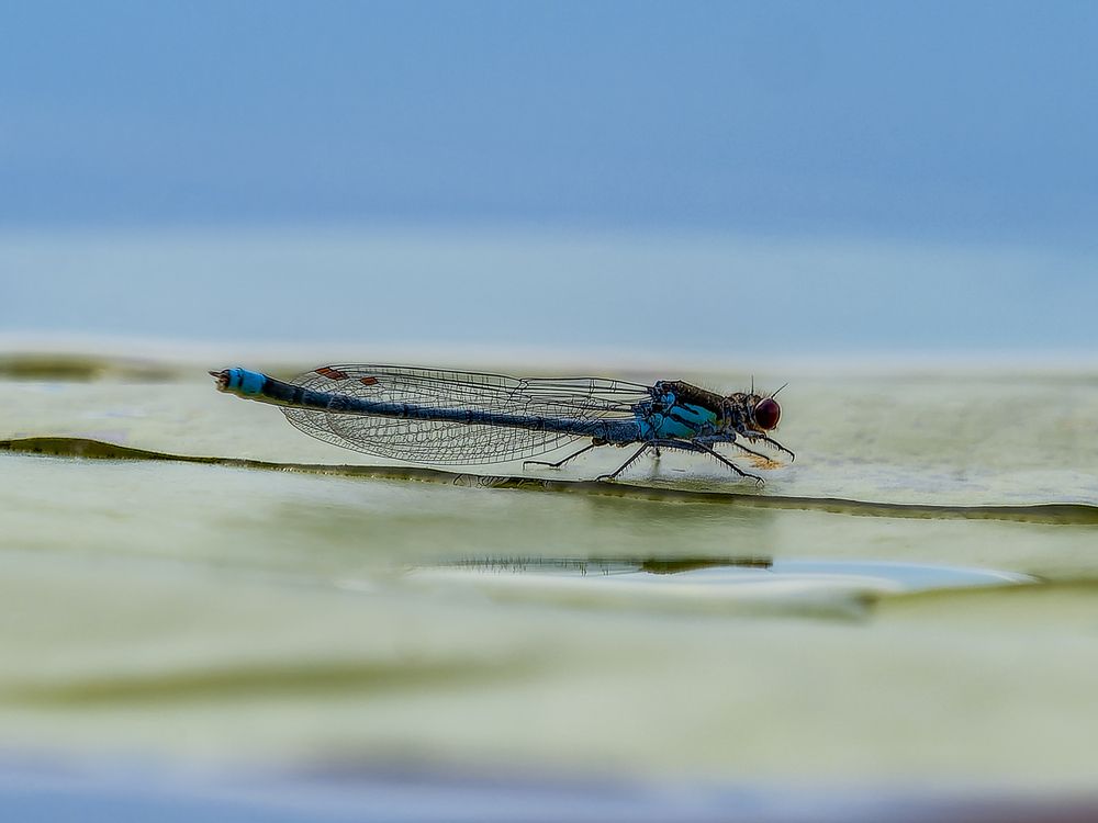 Photograph by Denis Polushin