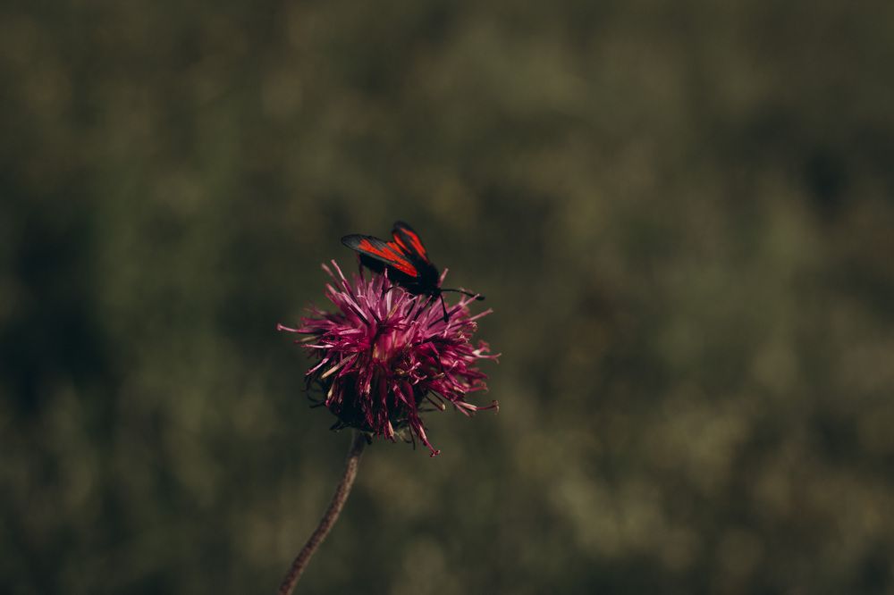 Photograph by Лилия Эссерт