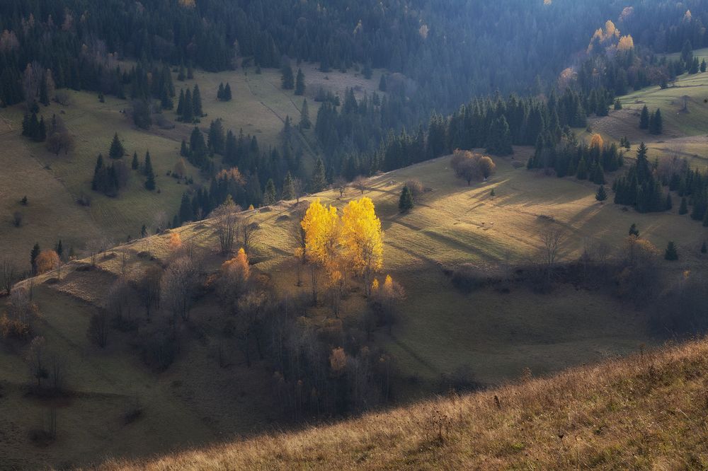 Photograph by Матюшенков Евгений