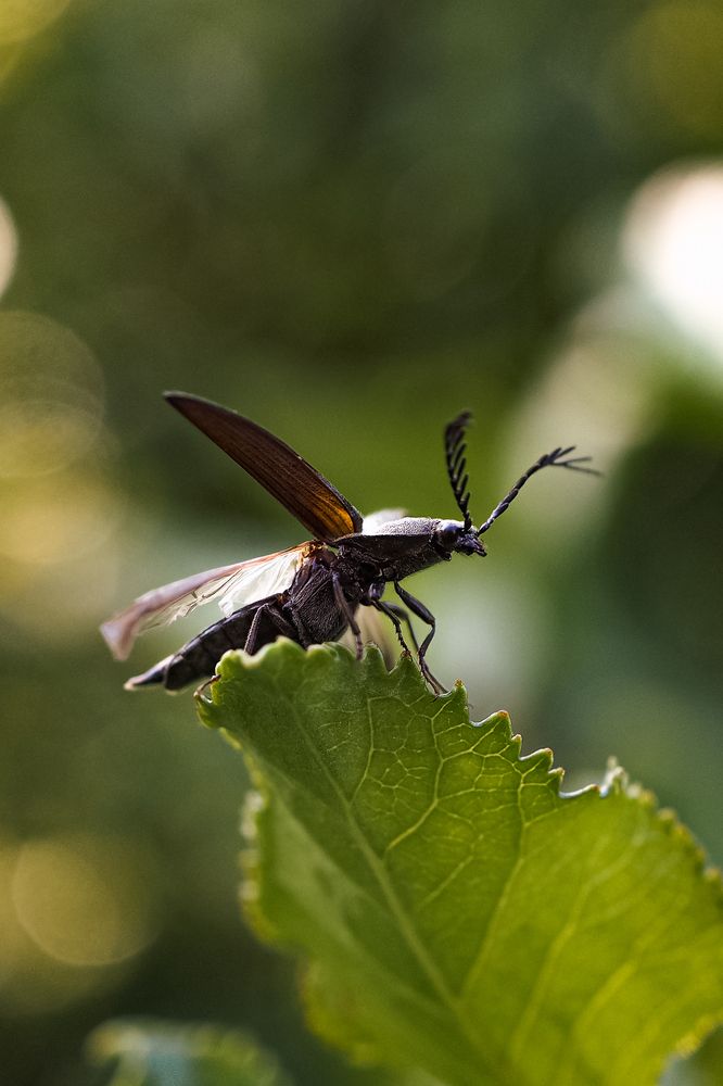 Photograph by Максим Колосов