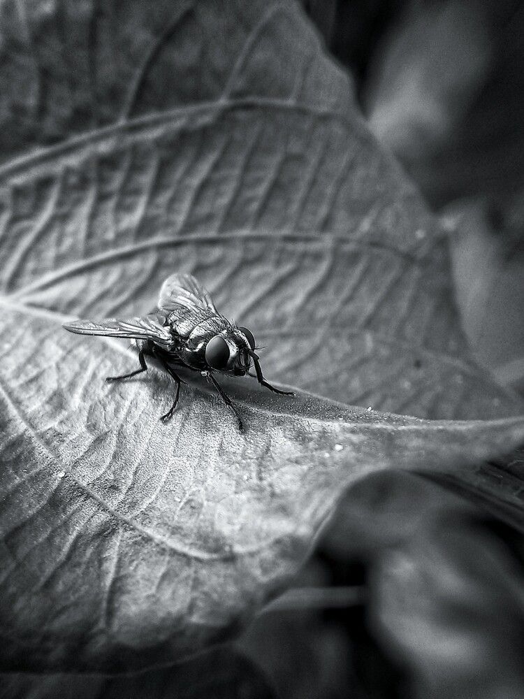Photograph by Erick pereira