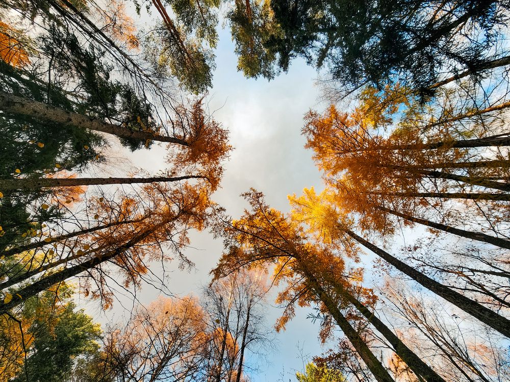 Photograph by Елена Савенкова