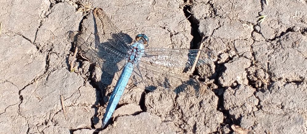 Photograph by Людмилка Лл