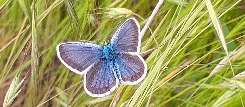 Photograph by Людмилка Лл